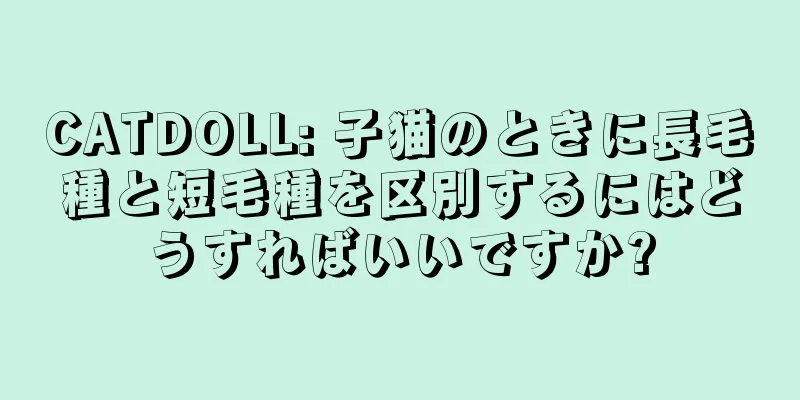 CATDOLL: 子猫のときに長毛種と短毛種を区別するにはどうすればいいですか?