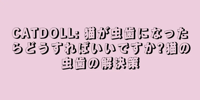 CATDOLL: 猫が虫歯になったらどうすればいいですか?猫の虫歯の解決策