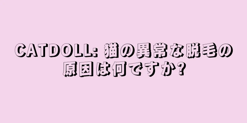 CATDOLL: 猫の異常な脱毛の原因は何ですか?