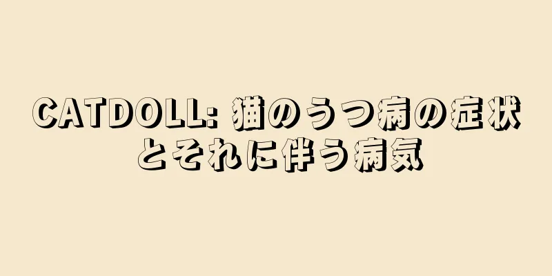 CATDOLL: 猫のうつ病の症状とそれに伴う病気