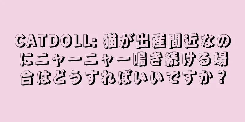 CATDOLL: 猫が出産間近なのにニャーニャー鳴き続ける場合はどうすればいいですか？