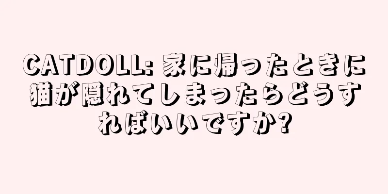 CATDOLL: 家に帰ったときに猫が隠れてしまったらどうすればいいですか?
