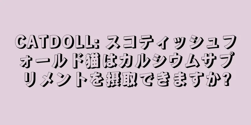 CATDOLL: スコティッシュフォールド猫はカルシウムサプリメントを摂取できますか?