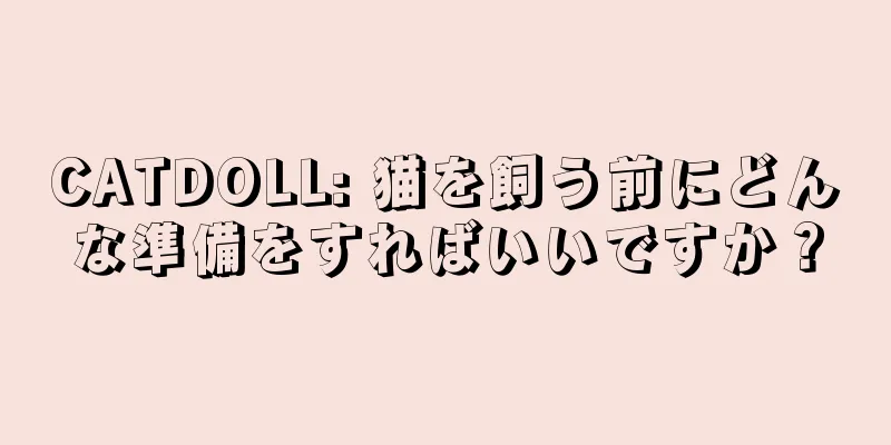 CATDOLL: 猫を飼う前にどんな準備をすればいいですか？