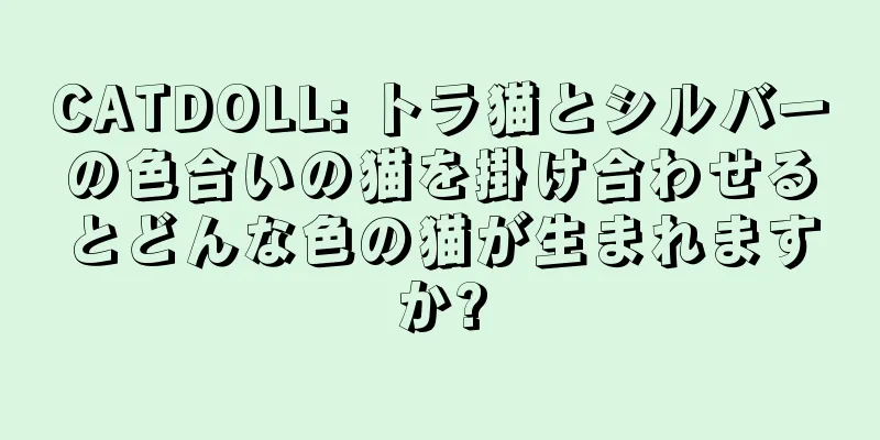 CATDOLL: トラ猫とシルバーの色合いの猫を掛け合わせるとどんな色の猫が生まれますか?