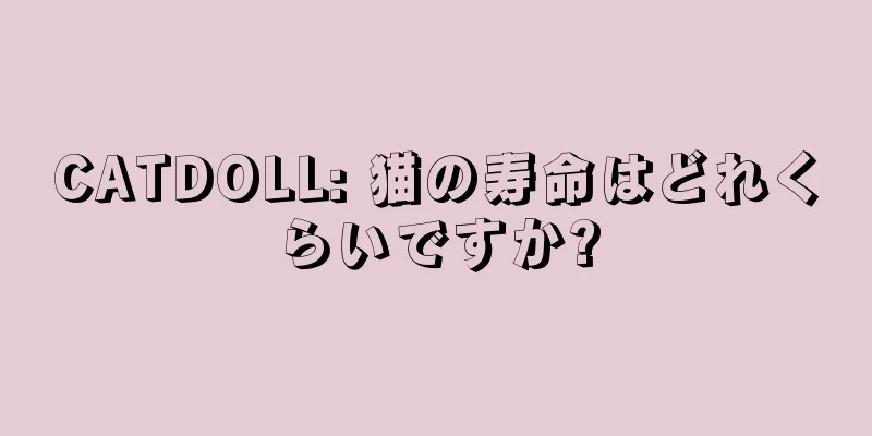 CATDOLL: 猫の寿命はどれくらいですか?