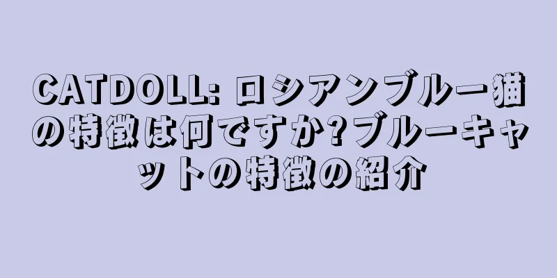 CATDOLL: ロシアンブルー猫の特徴は何ですか?ブルーキャットの特徴の紹介