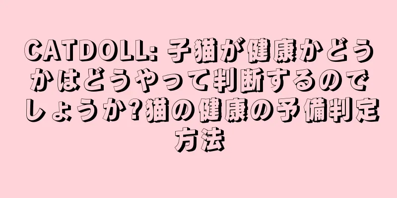 CATDOLL: 子猫が健康かどうかはどうやって判断するのでしょうか?猫の健康の予備判定方法