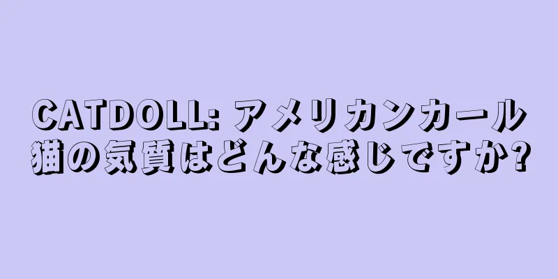 CATDOLL: アメリカンカール猫の気質はどんな感じですか?