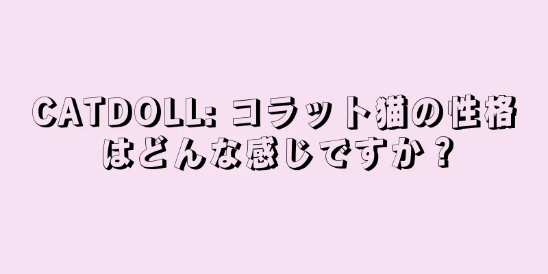 CATDOLL: コラット猫の性格はどんな感じですか？