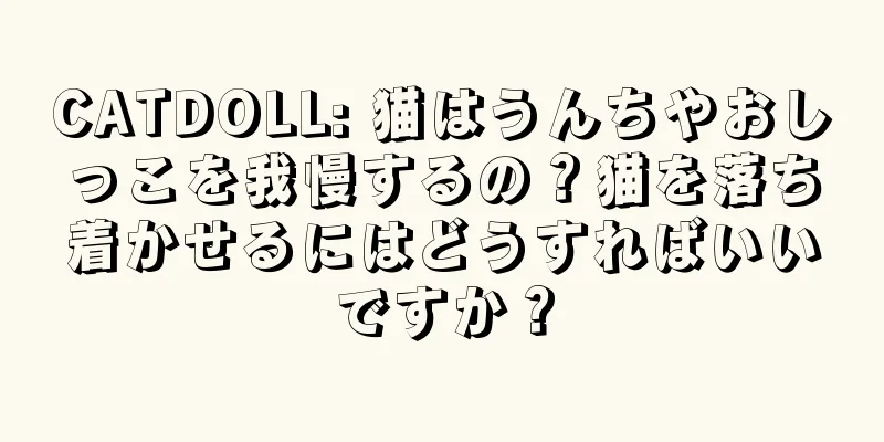 CATDOLL: 猫はうんちやおしっこを我慢するの？猫を落ち着かせるにはどうすればいいですか？