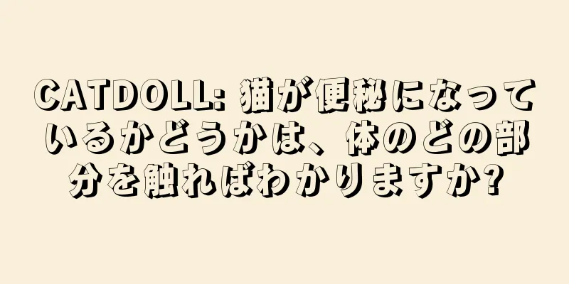 CATDOLL: 猫が便秘になっているかどうかは、体のどの部分を触ればわかりますか?