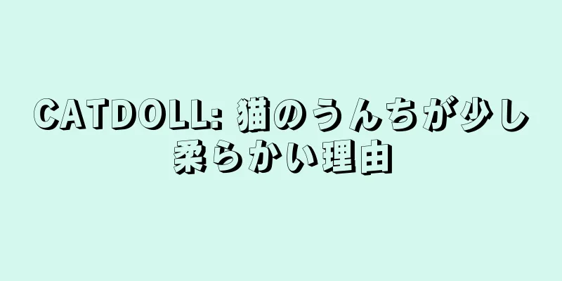 CATDOLL: 猫のうんちが少し柔らかい理由