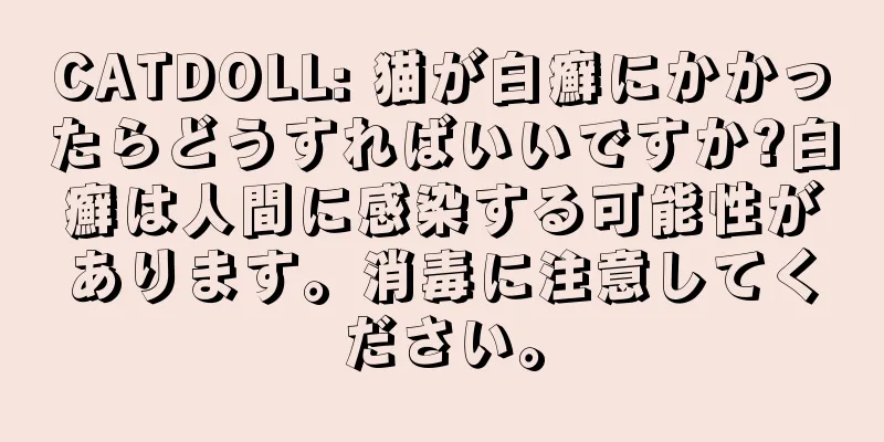 CATDOLL: 猫が白癬にかかったらどうすればいいですか?白癬は人間に感染する可能性があります。消毒に注意してください。