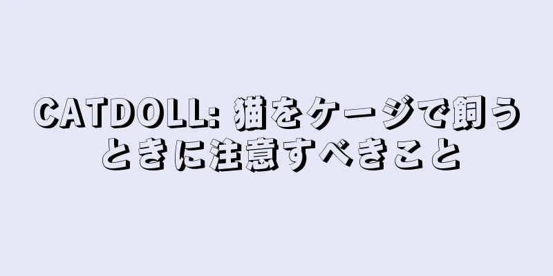 CATDOLL: 猫をケージで飼うときに注意すべきこと
