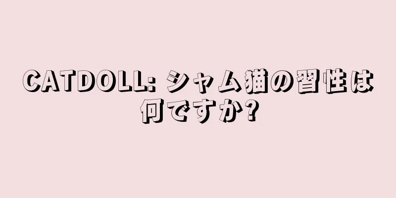 CATDOLL: シャム猫の習性は何ですか?