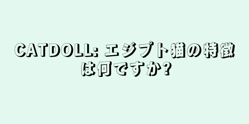 CATDOLL: エジプト猫の特徴は何ですか?