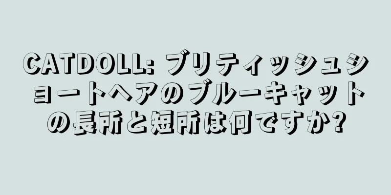 CATDOLL: ブリティッシュショートヘアのブルーキャットの長所と短所は何ですか?