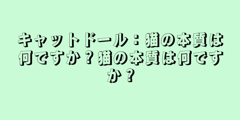 キャットドール：猫の本質は何ですか？猫の本質は何ですか？