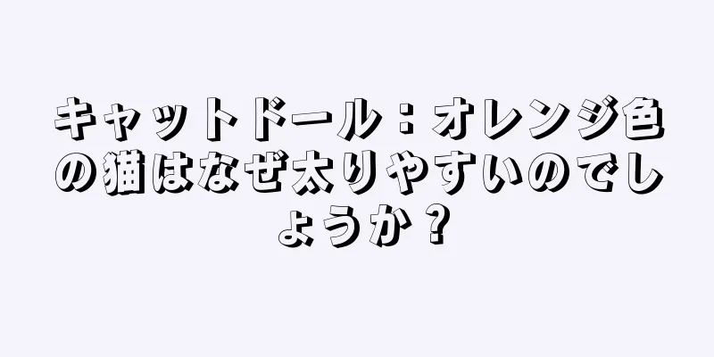 キャットドール：オレンジ色の猫はなぜ太りやすいのでしょうか？