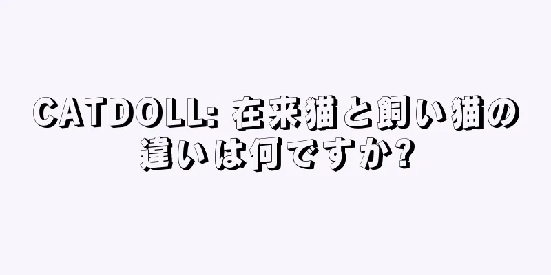 CATDOLL: 在来猫と飼い猫の違いは何ですか?