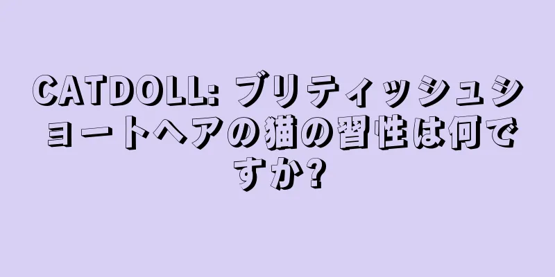 CATDOLL: ブリティッシュショートヘアの猫の習性は何ですか?