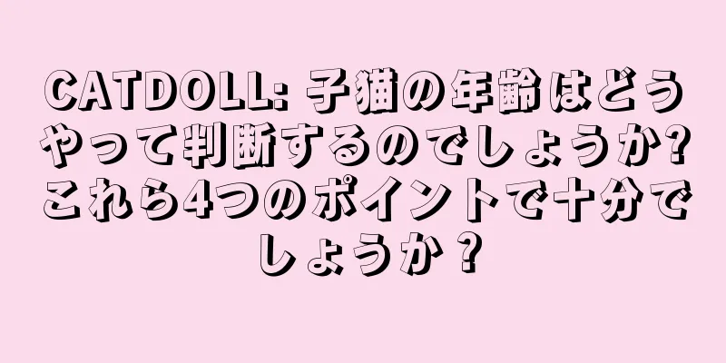 CATDOLL: 子猫の年齢はどうやって判断するのでしょうか?これら4つのポイントで十分でしょうか？