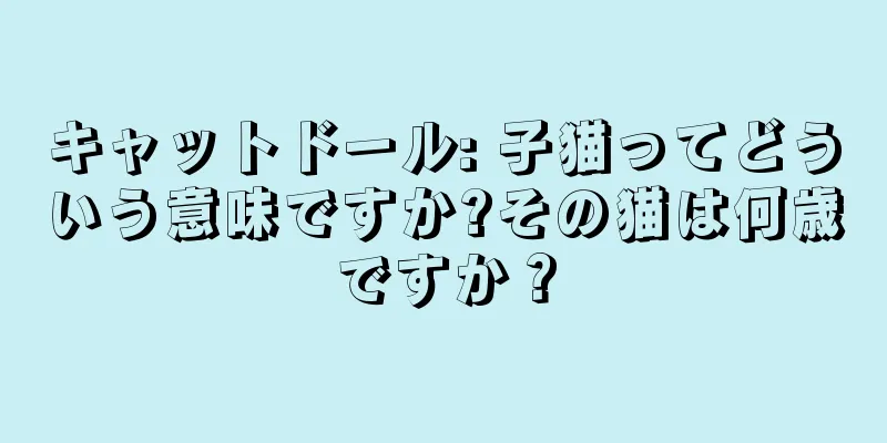 キャットドール: 子猫ってどういう意味ですか?その猫は何歳ですか？