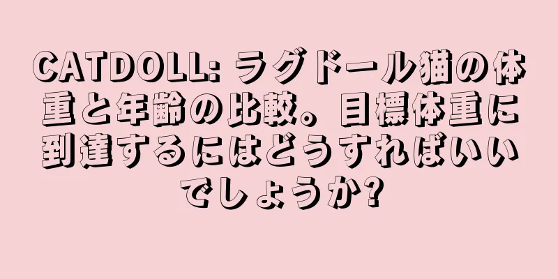 CATDOLL: ラグドール猫の体重と年齢の比較。目標体重に到達するにはどうすればいいでしょうか?