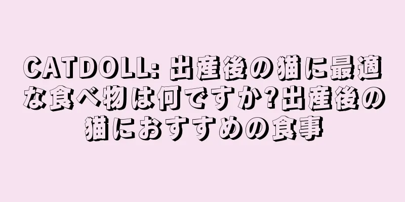 CATDOLL: 出産後の猫に最適な食べ物は何ですか?出産後の猫におすすめの食事