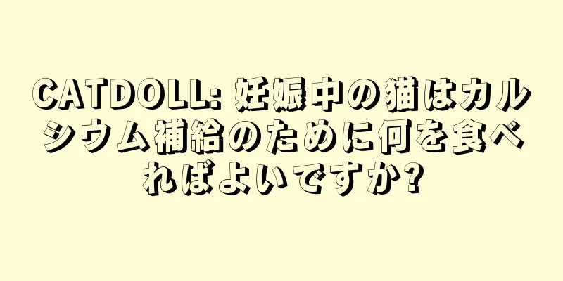 CATDOLL: 妊娠中の猫はカルシウム補給のために何を食べればよいですか?
