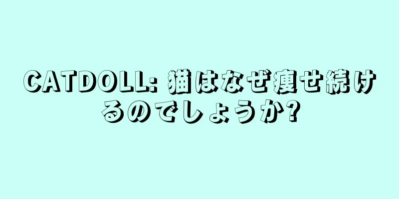CATDOLL: 猫はなぜ痩せ続けるのでしょうか?