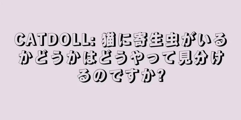 CATDOLL: 猫に寄生虫がいるかどうかはどうやって見分けるのですか?