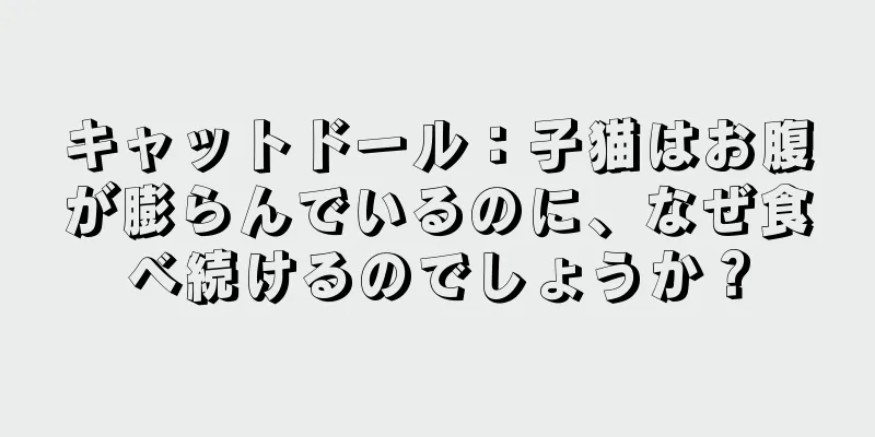 キャットドール：子猫はお腹が膨らんでいるのに、なぜ食べ続けるのでしょうか？
