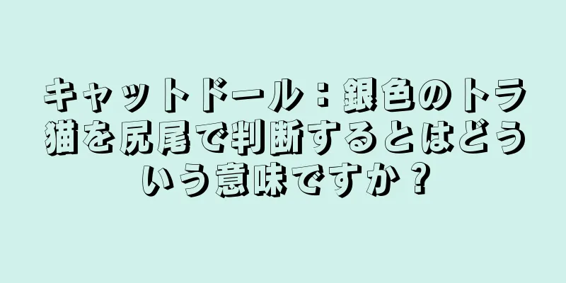 キャットドール：銀色のトラ猫を尻尾で判断するとはどういう意味ですか？