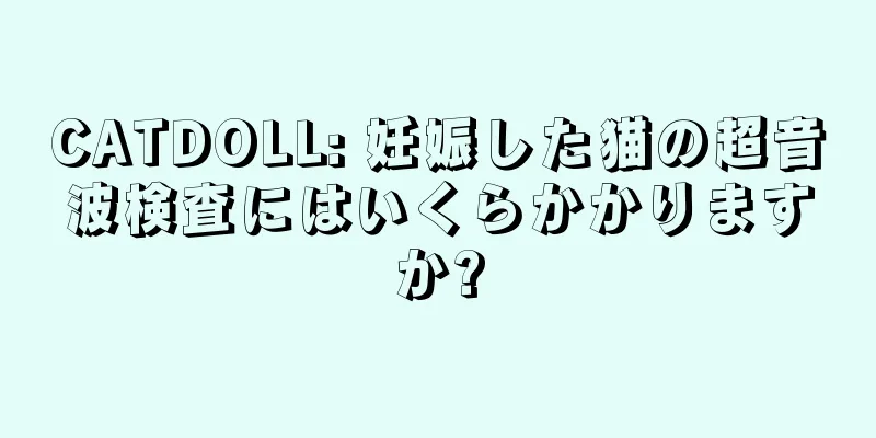 CATDOLL: 妊娠した猫の超音波検査にはいくらかかりますか?