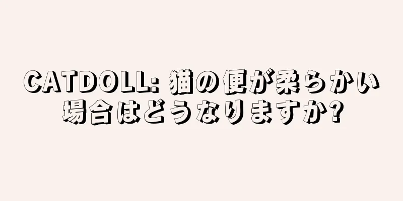 CATDOLL: 猫の便が柔らかい場合はどうなりますか?
