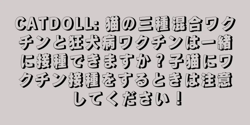 CATDOLL: 猫の三種混合ワクチンと狂犬病ワクチンは一緒に接種できますか？子猫にワクチン接種をするときは注意してください！