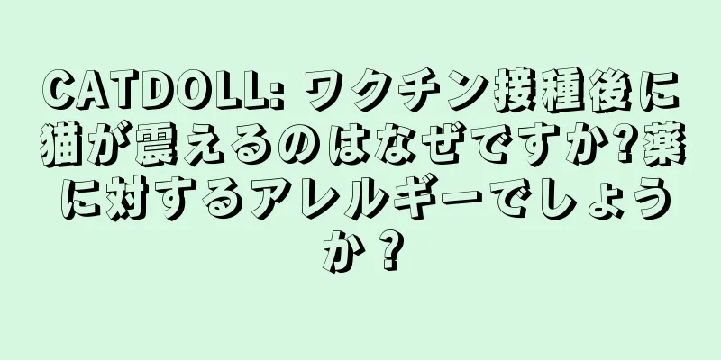 CATDOLL: ワクチン接種後に猫が震えるのはなぜですか?薬に対するアレルギーでしょうか？
