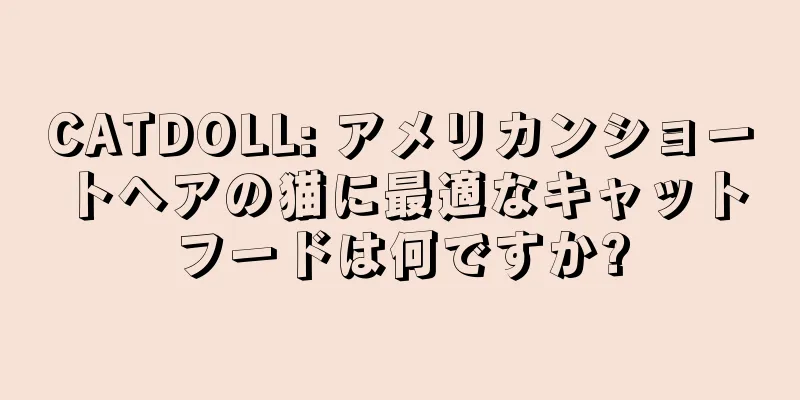 CATDOLL: アメリカンショートヘアの猫に最適なキャットフードは何ですか?