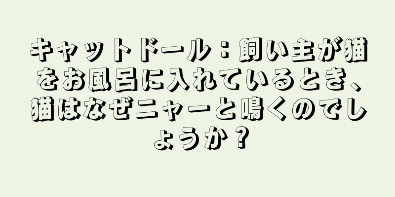 キャットドール：飼い主が猫をお風呂に入れているとき、猫はなぜニャーと鳴くのでしょうか？