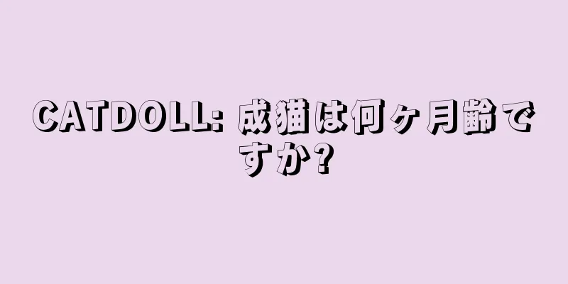 CATDOLL: 成猫は何ヶ月齢ですか?