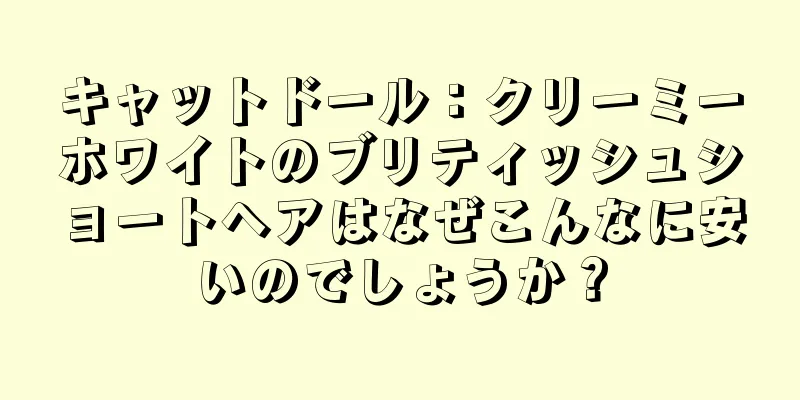 キャットドール：クリーミーホワイトのブリティッシュショートヘアはなぜこんなに安いのでしょうか？