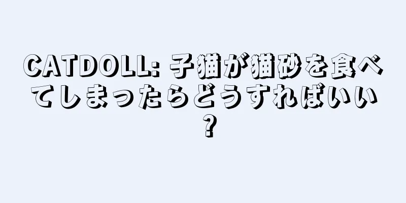 CATDOLL: 子猫が猫砂を食べてしまったらどうすればいい？