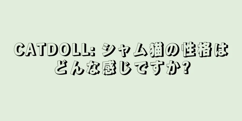 CATDOLL: シャム猫の性格はどんな感じですか?
