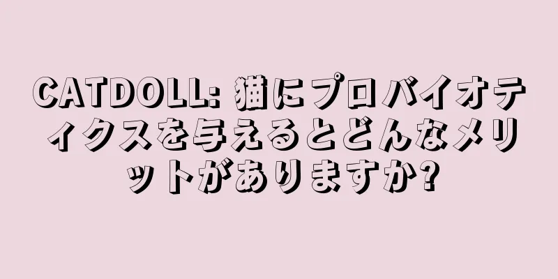 CATDOLL: 猫にプロバイオティクスを与えるとどんなメリットがありますか?