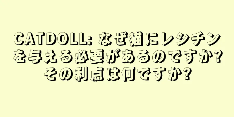 CATDOLL: なぜ猫にレシチンを与える必要があるのですか?その利点は何ですか?