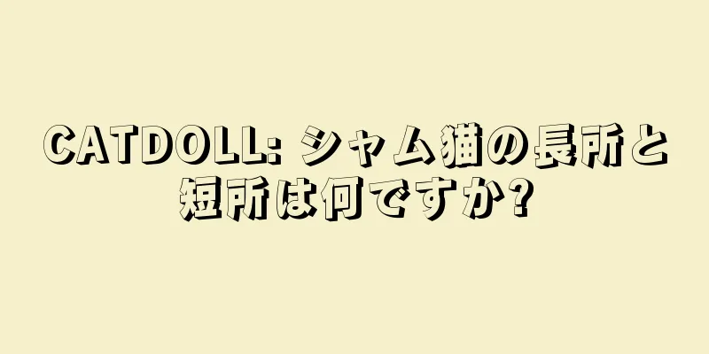 CATDOLL: シャム猫の長所と短所は何ですか?