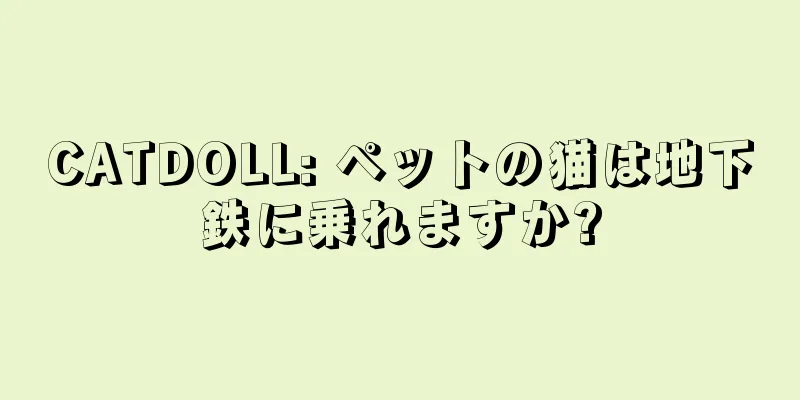 CATDOLL: ペットの猫は地下鉄に乗れますか?