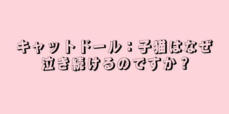 キャットドール：子猫はなぜ泣き続けるのですか？